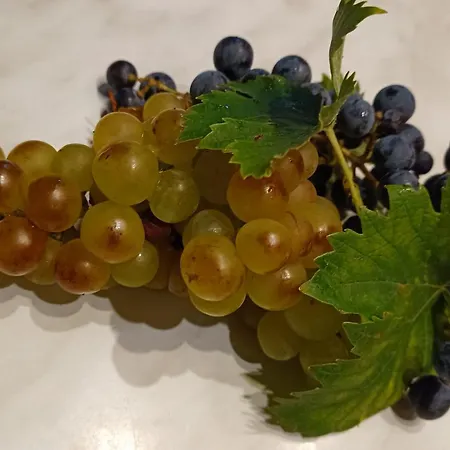 Holiday home La Nuvola *