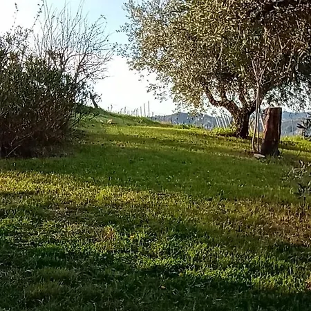 La Nuvola *